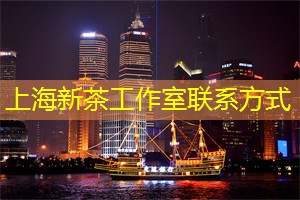 上海举办的国际田径赛事回顾